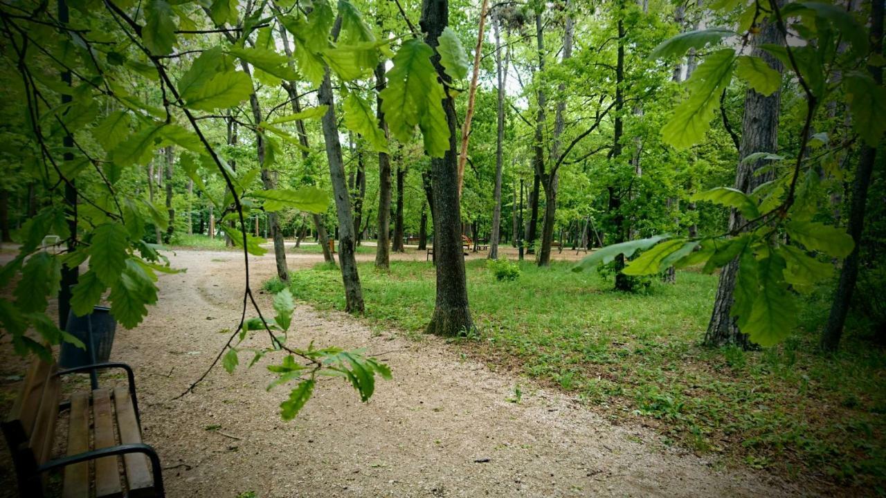 Hotel Balatonair Vendeghaz Balatonfüred Exteriér fotografie